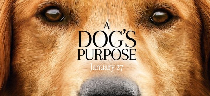 “A Dog’s purpose” — The movie
