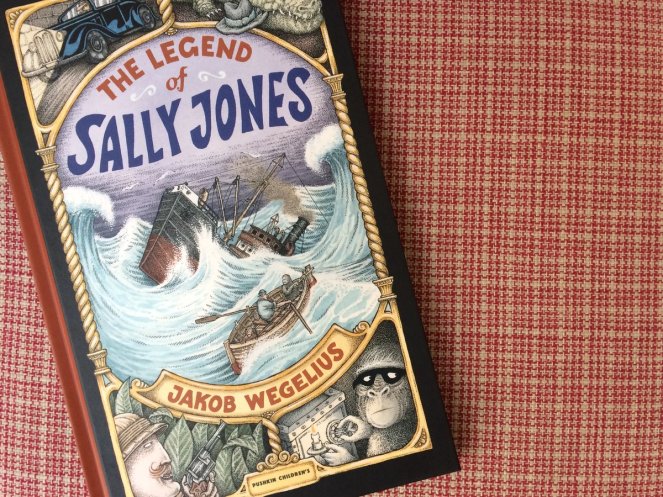 A Book Named “Legend of Sally Jones” and Other Items in A Box